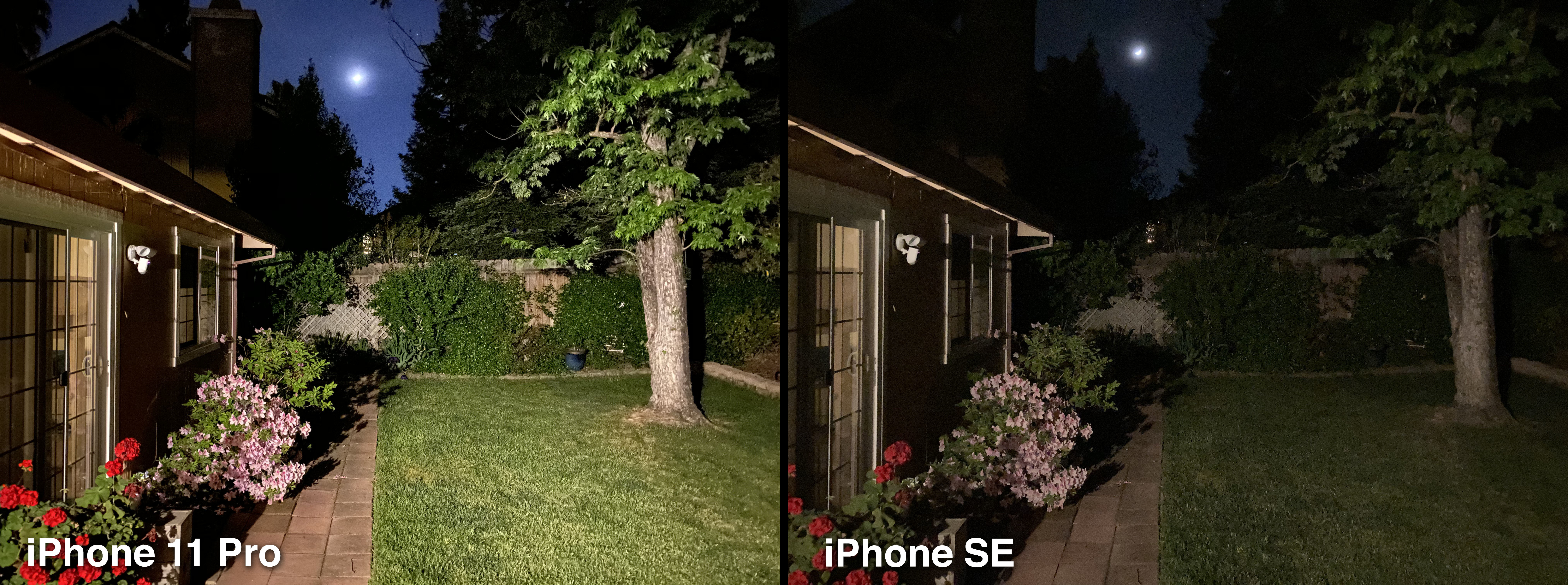 مقایسه تصاویر ثبت شده توسط آیفون SEو آیفون 11 در شب